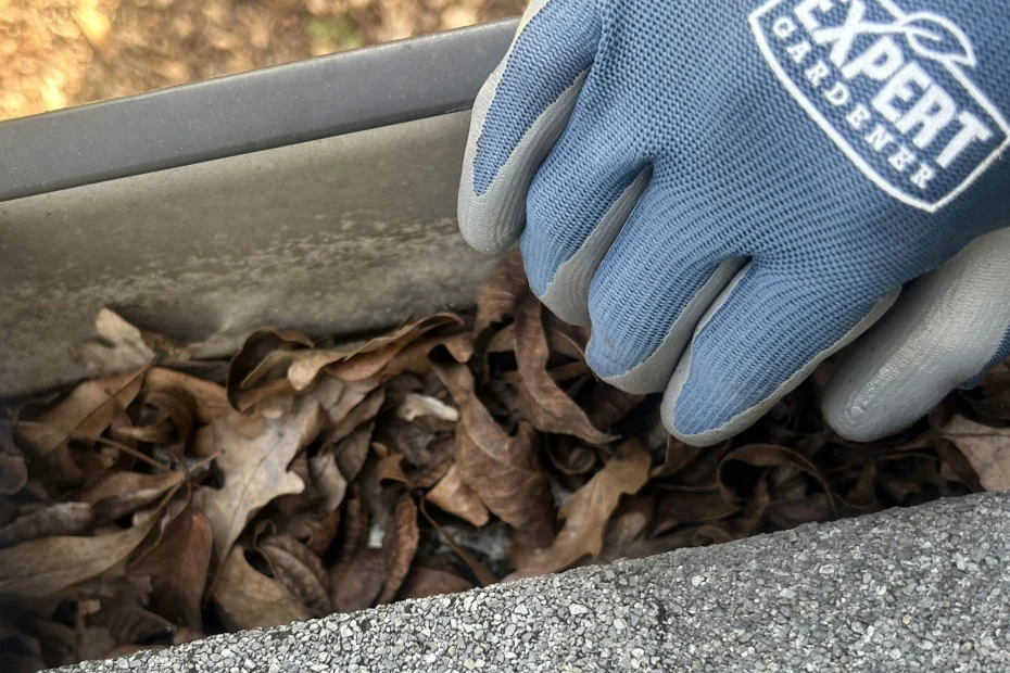 Bon Air Gutter Cleaning