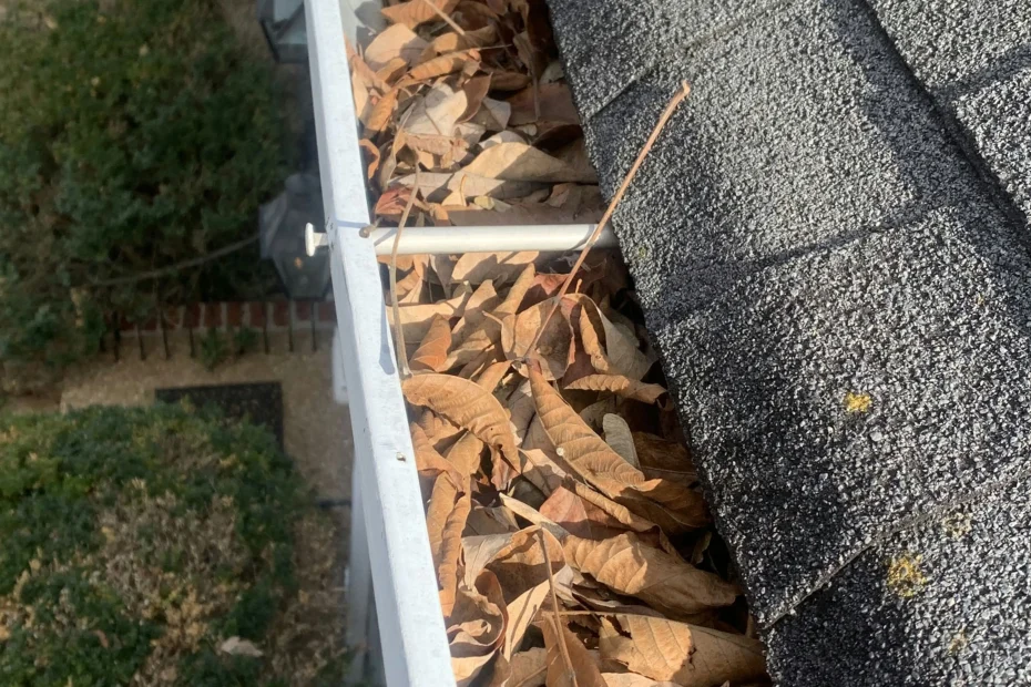 Bon Air Gutter Cleaning