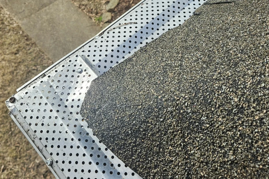 Bon Air Gutter Cleaning