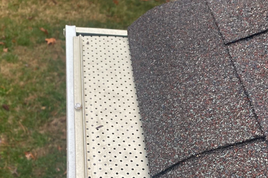 Bon Air Gutter Cleaning